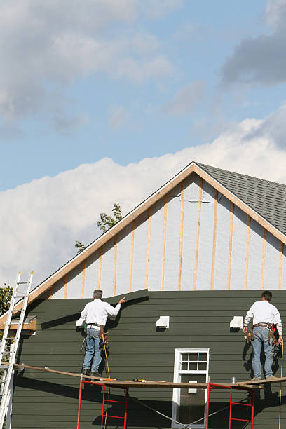 Best Custom Trim and Detailing for Siding  in Waynesville, MO